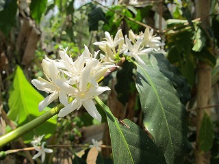 IMG_0217 IMG_0217
